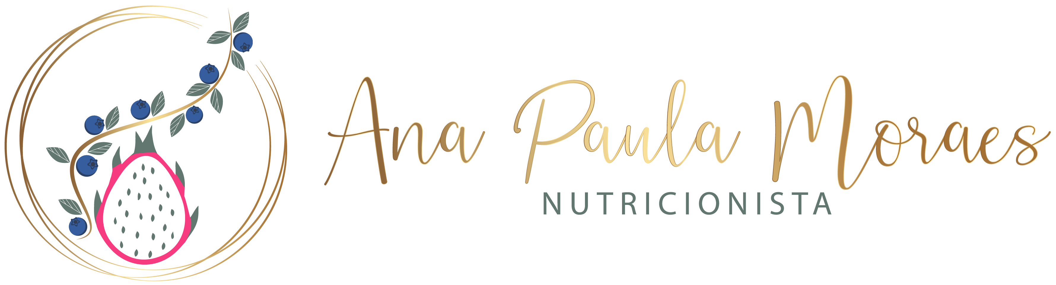 Logo Ana Paula de Moraes
